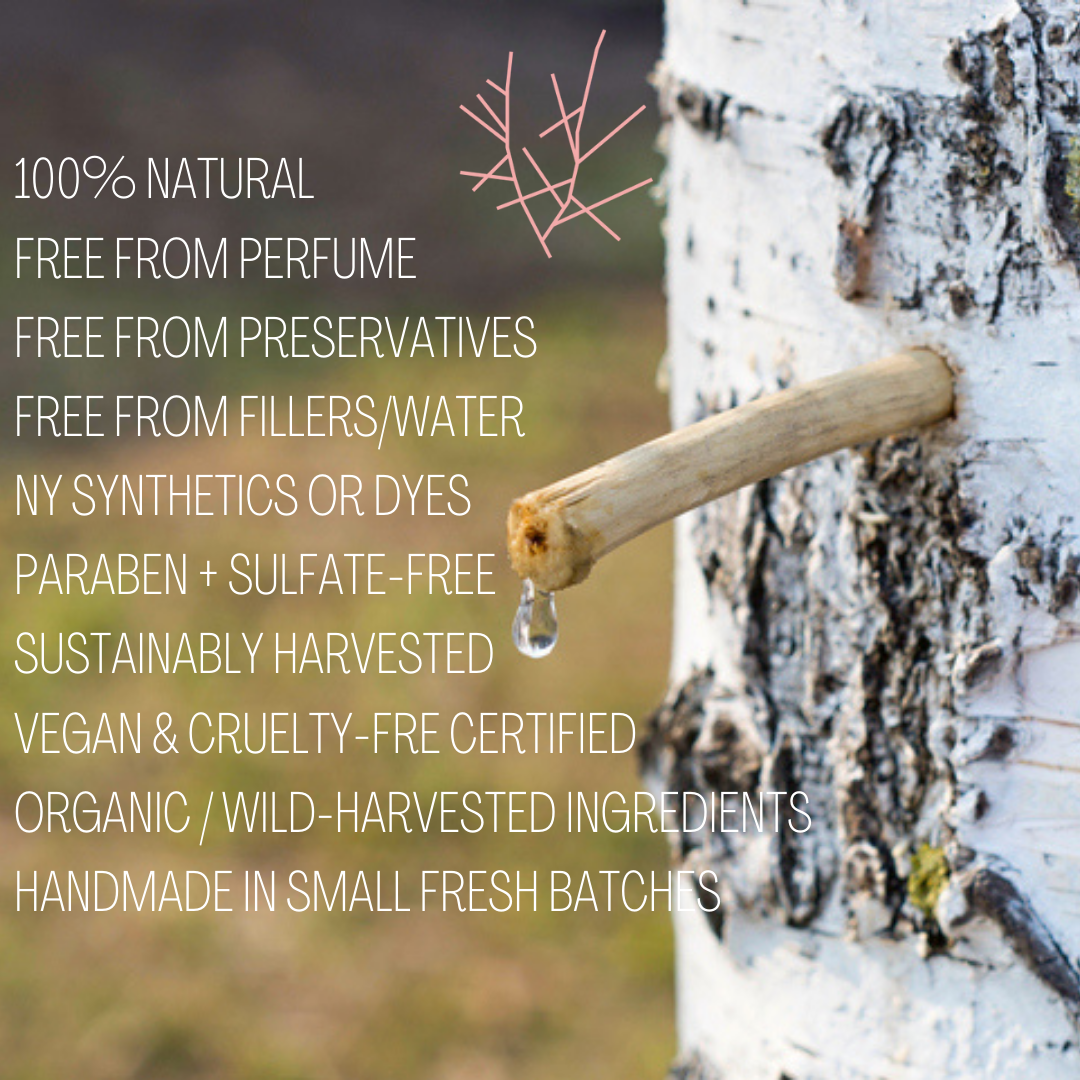 Birch Sap Benefits for Anti-Aging with Noomi